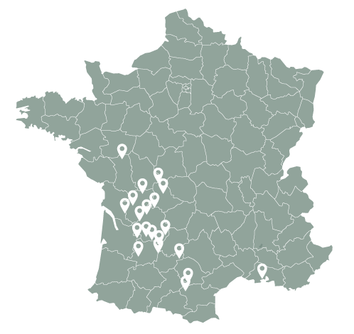 Alt Text