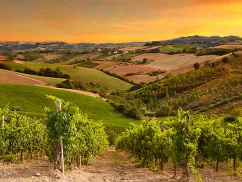 20 reasons why we'll all return to France when this is finally over