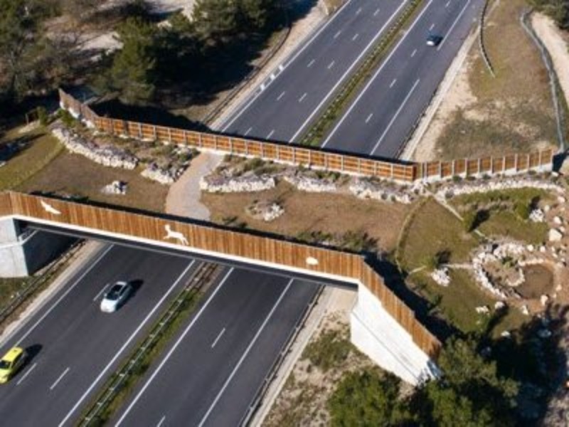 French motorway ecobridges to protect wildlife