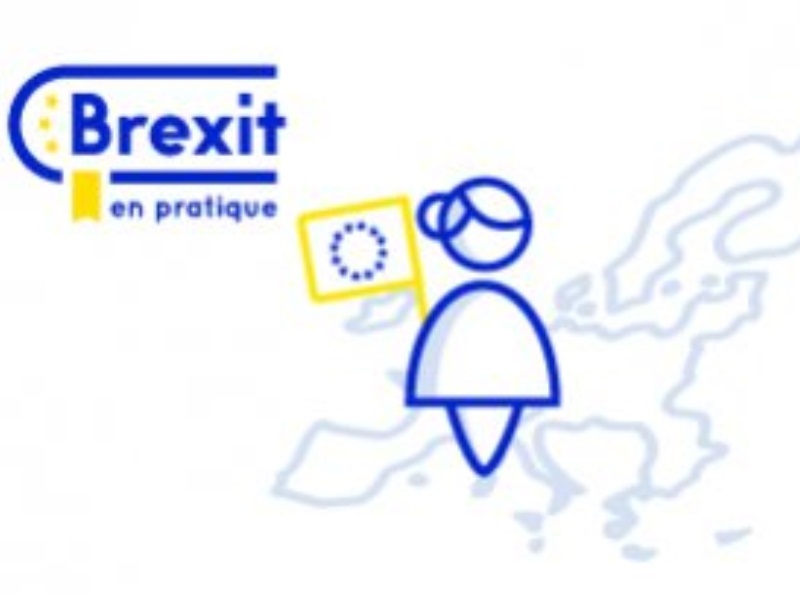 French website about Brexit 