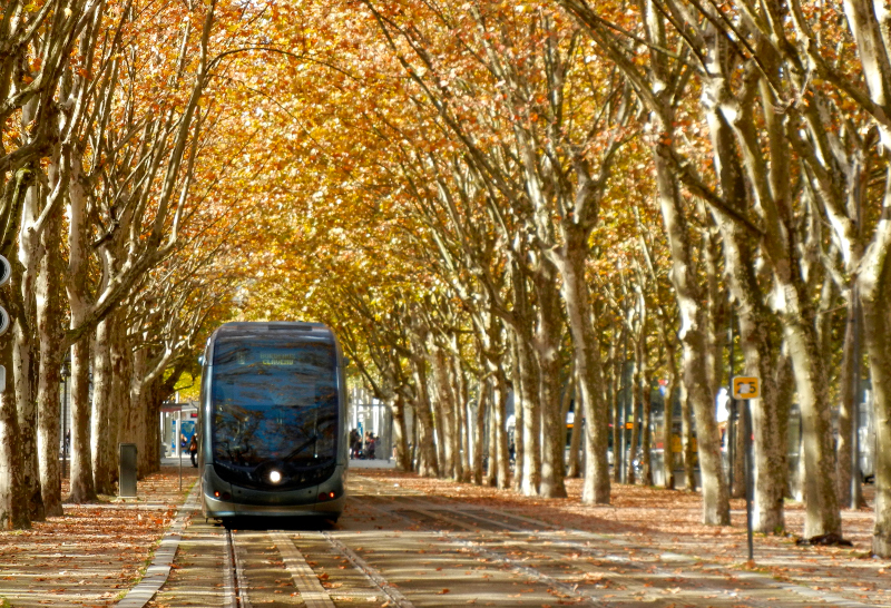 Profil des acheteurs immobiliers en Gironde : Tendances et Perspectives