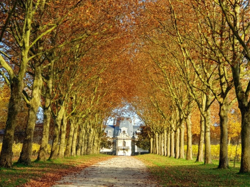 Autumn: A Perfect Time to Invest in French Luxury Real Estate