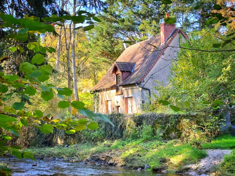 The 'Tiny House' Movement in Central France